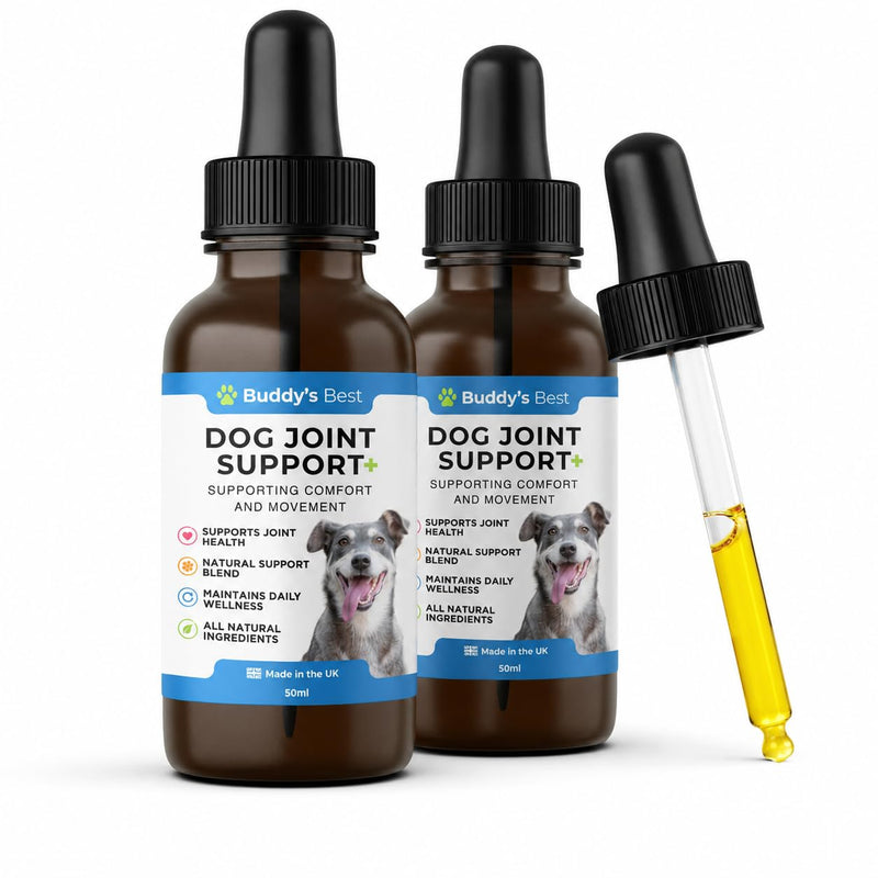BUDDY'S BEST Twin Pack Dog Joint Support Plus | 50ml | Supports Healthy Joints & Mobility in Dogs | Natural Ingredients for Daily Wellness | Easy to Use | Made in the UK Pack of 2