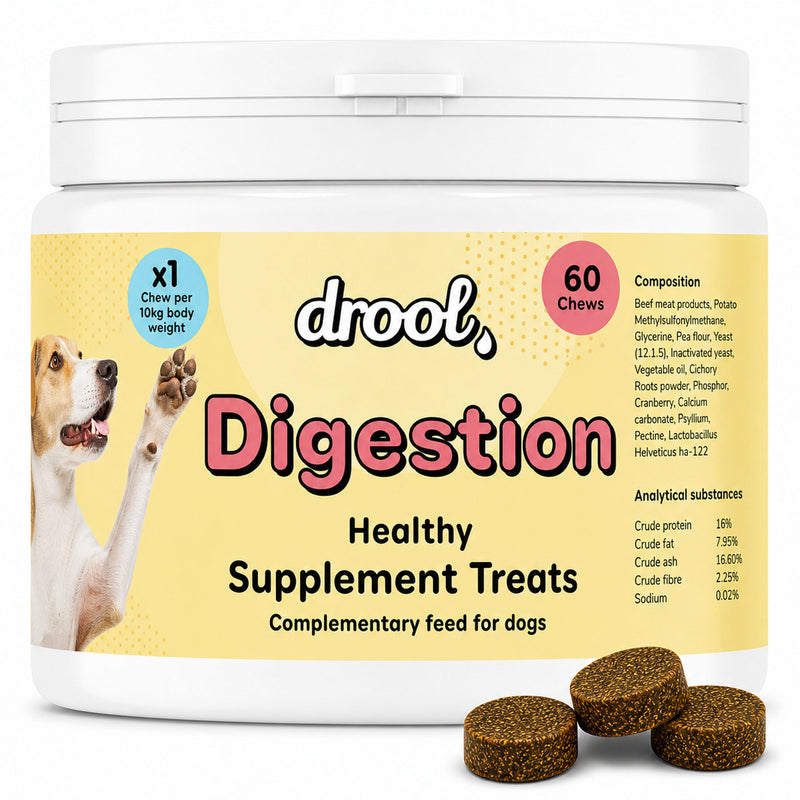 Drool Pet Products | Digestive Supplements for Dogs | Probiotics & Fibre for Dogs Gut Health | Natural Dog Digestive Supplements with Biotics for Stomach Relief | 180g (60 Chews) Beef Digestion