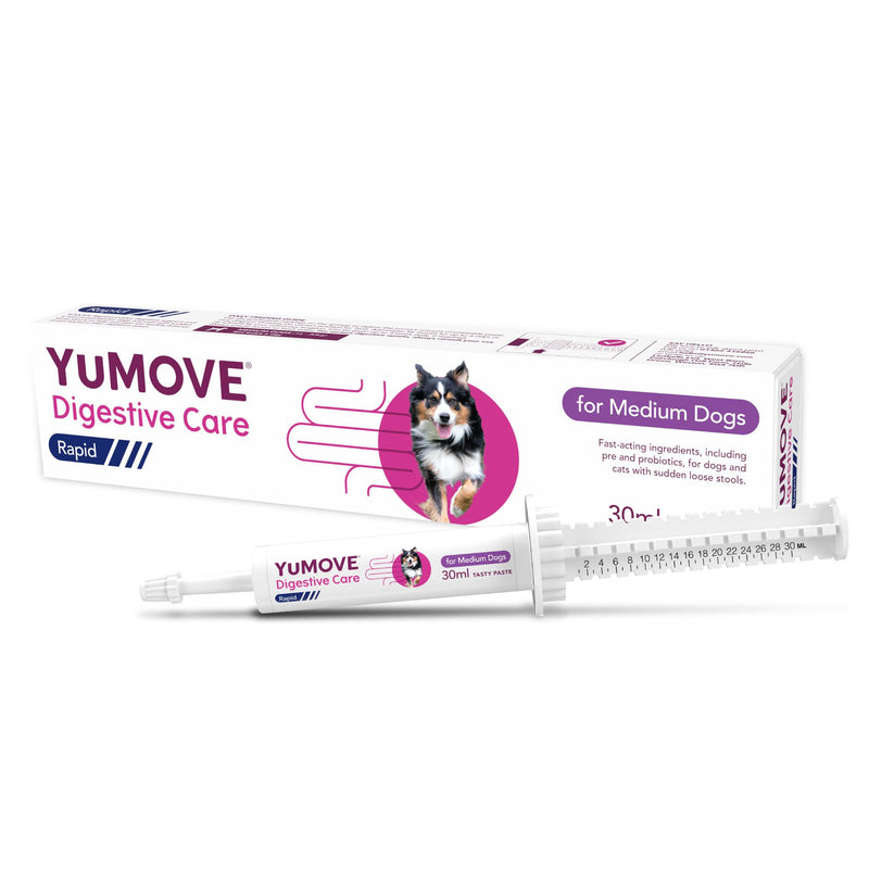 YuMOVE Digestive Care Rapid, Dog Pre and Probiotic Paste for Gut Health, Digestive Supplements with Fast-Acting Ingredients for Medium Dogs, 30ml Medium Dog Single