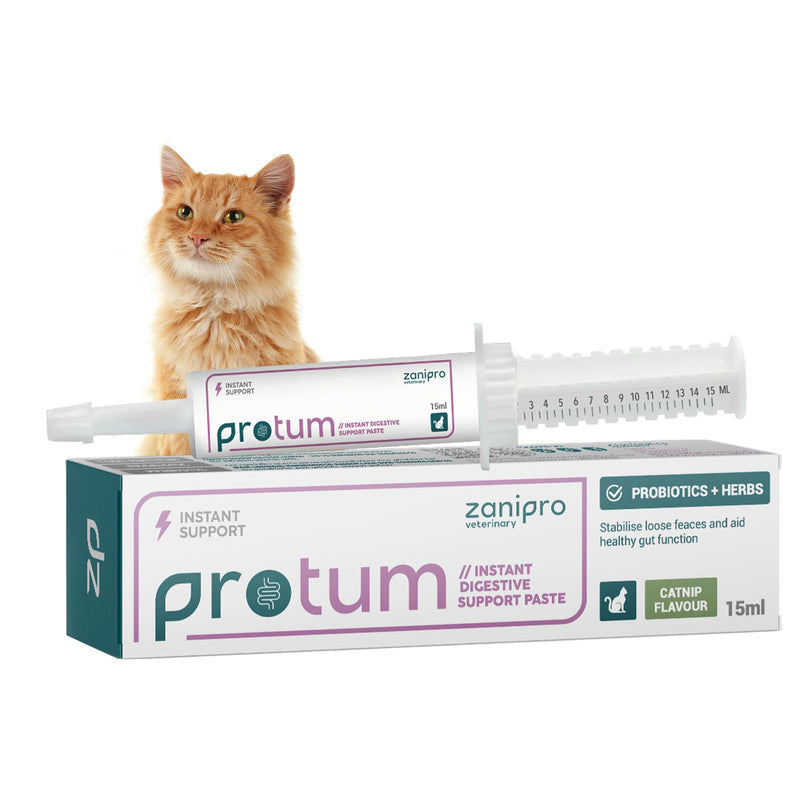 Probiotics for Cats Paste 15ml, Cat Diarrhea Treatment - New Formula for Easy Dispensing, Advanced Prebiotic, Diarrhea Relief, Restore Digestion, Loose Stools & Gut Balance - Catnip Flavoured