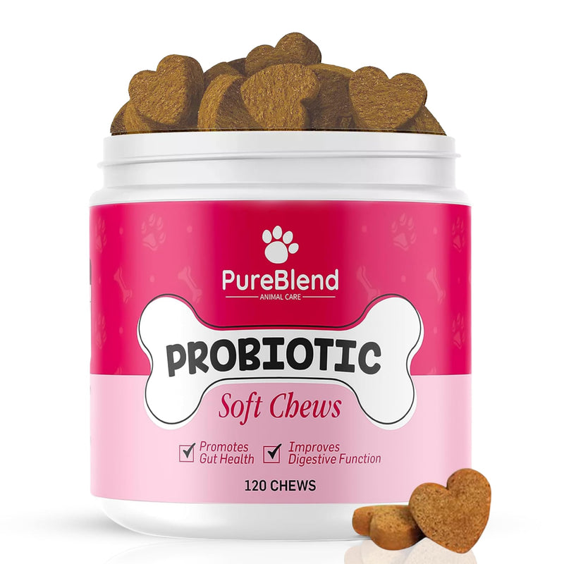 PureBlend Probiotic Soft Chews for Dogs — Dog Gut Health Supplement with Pumpkin, Prebiotics, Enzymes & Vitamins — 120 Chews, Up to 4 Month Supply
