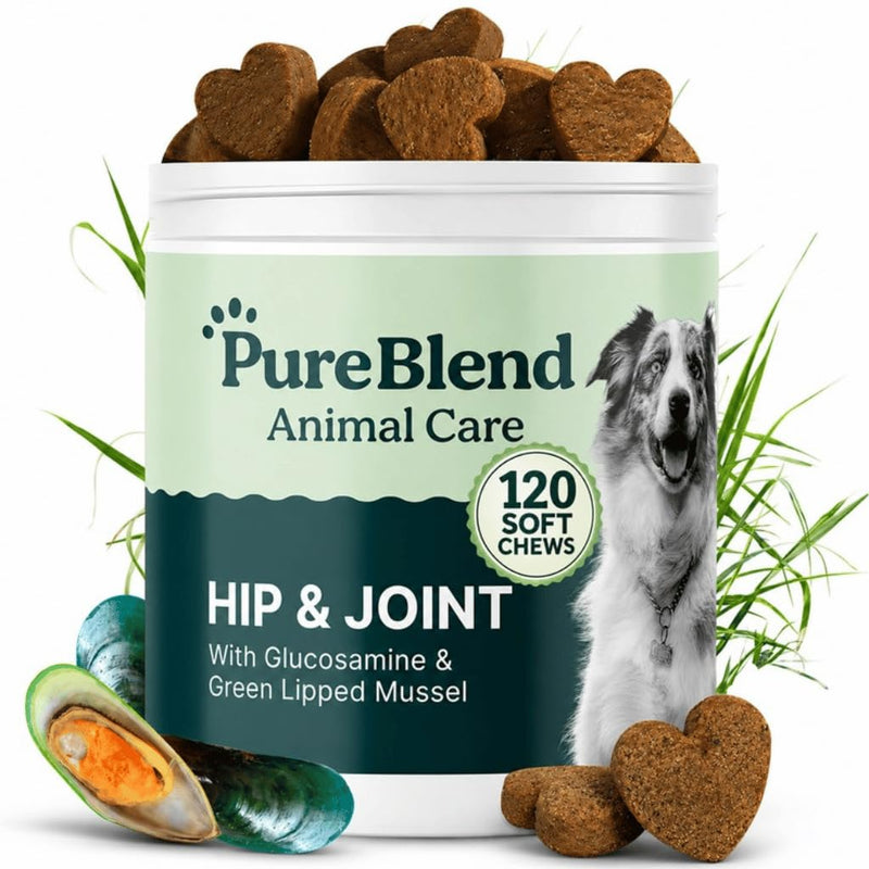 PureBlend Hip & Joint Soft Chews for Dogs — With Glucosamine, Chondroitin, Green Lipped Mussel & MSM — Joint Supplement for Dogs — 120 Chews, Up to 4 Month Supply