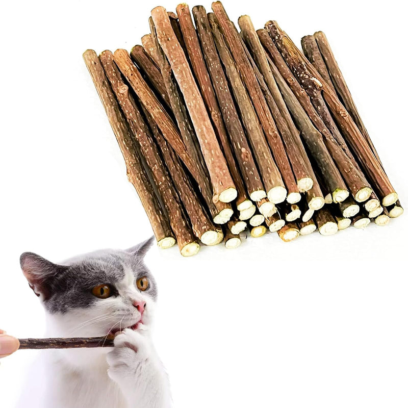 50 PCS Catnip Sticks For Cats, Cat Dental Chew Sticks, Matatabi Cat Dental Care, Silvervine Cat Teeth Cleaning Dental Sticks, Kitten Teething Toys for Indoor Cats 50 pcs