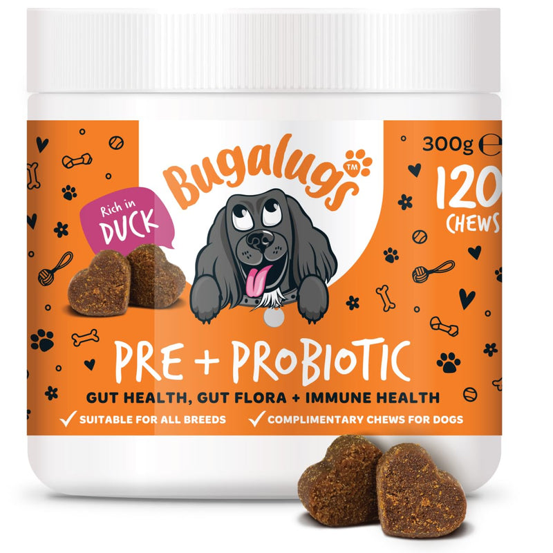 Bugalugs Probiotics for Dogs Natural Dog Treats with Pumpkin Powder for dogs – Gut Health, Sensitive Tums, Anal Glands, Scooting, Loose Stools, Smelly, Itchy Ears, Great for all dogs Probiotic Chews 300g
