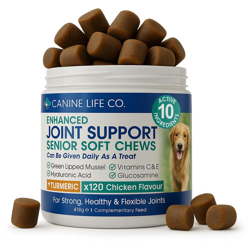 Canine Life Co. Senior Dog Joint Supplement – 10 Active Ingredients with Glucosamine, Green Lipped Mussel & Turmeric – High Strength Soft Chews for Dogs Aged 8+ – 120 Chicken-Flavoured Treats