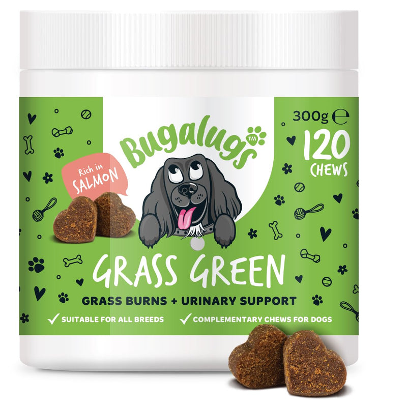 Bugalugs Grass Green Dog Supplement Chews helps support Dog Urine Neutraliser for Grass Burn with Cranberry that helps Urinary & Gut Health, Rich in Salmon, 120 Chews 300g (Pack of 1)