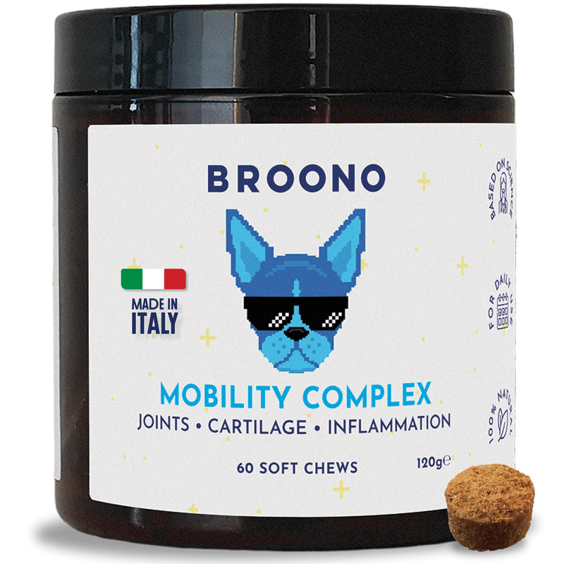 Joint Supplement for Dogs - With Glucosamine, Chondroitin, MSM, Turmeric, Ginger, Boswellia for Dogs with Stiff Joints, Arthritis - Supports Collagen Production - Natural Joint Care for All Dog Sizes