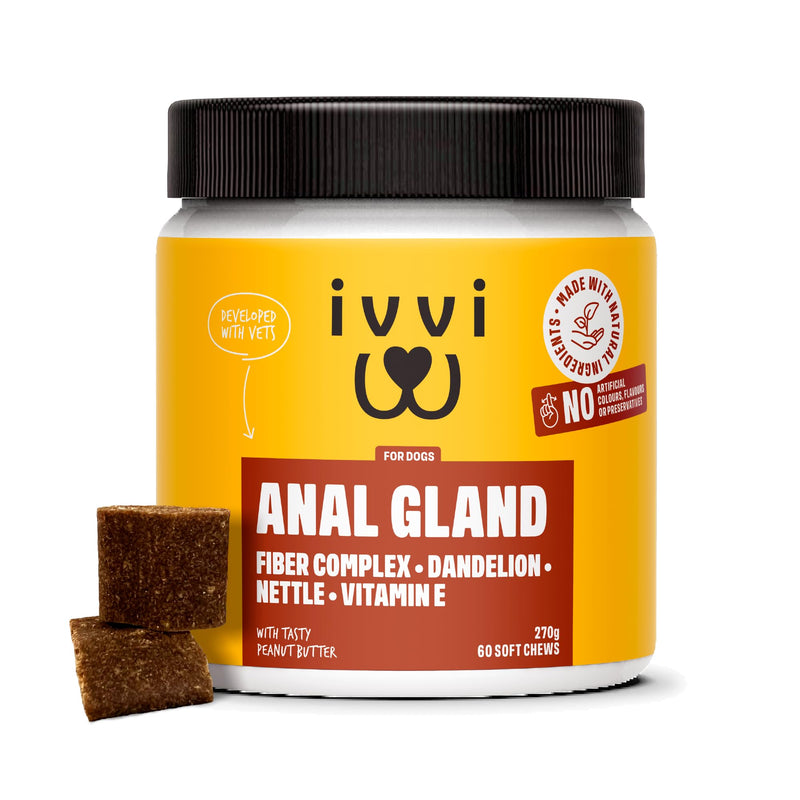 ivvi Anal Gland - Highly effective snacks to support the health of dogs' anal glands. Contains pumpkin, psyllium, flaxseed, dandelion, nettle, and prebiotics. 60 snacks (270g) with peanut butter