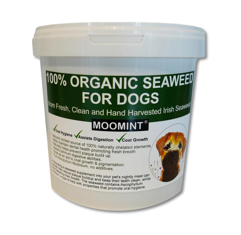 Seaweed for Dogs - 100% Organic Irish Seaweed - Promotes Oral Hygiene, Healthy Coat Growth & Gut Health - Natural Superfood Supplement, 500g