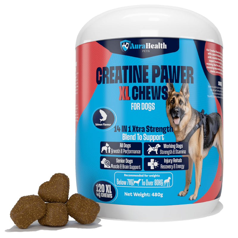 CREATINE PAWER 120 XL Chews up to 4-month supply for Working, Senior, & Injured Dogs 14-in-1 XtraStrength: Creatine, L-Carnitine & Taurine. Muscles, Performance, Energy & Recovery, Salmon Flavour