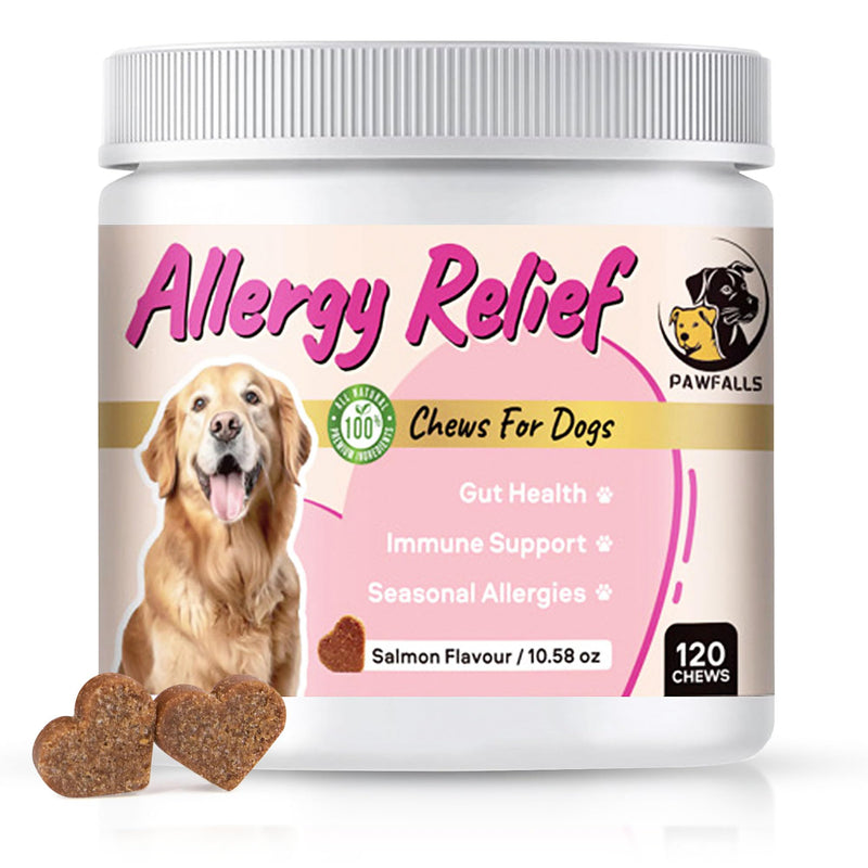 Allergy Relief Chews for Dogs – Itchy Skin, Hot Spots & Seasonal Allergy Support – Anti-Itch Supplement with Omega-3, Quercetin & Probiotics – Salmon Flavor – 120 Soft Chews