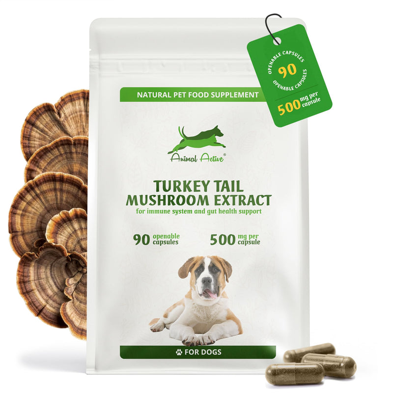 Turkey Tail Mushroom for Dogs 90 Capsules with 500mg PSK/PSP Beta-Glucans Extract - Immune Support Supplement - Gut Health & Prebiotic, UK Made, GMP Certified
