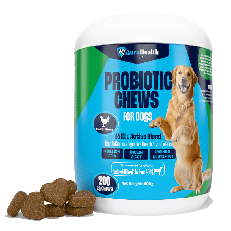 Probiotic 200 Chews up to 4-month supply for Small to Madium Dogs 16-in-1 Support Gut Health, Diarrhea & Allergies – 8 Billion CFUs, Prebiotics, Glutamine, Inulin, Omega-3, Chicken Flavour. 200 Chews - 2g