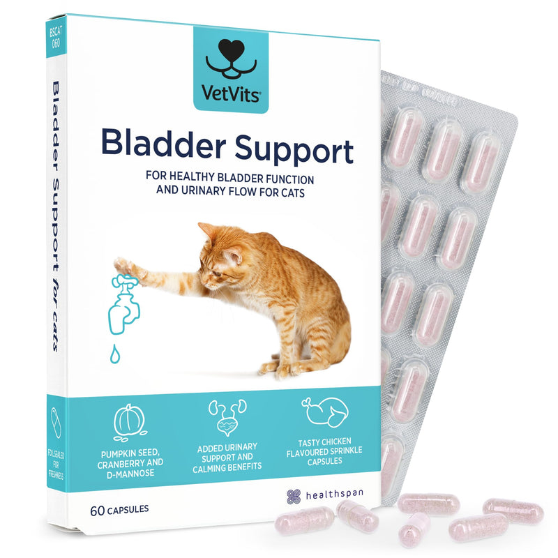 Bladder Support for Cats (60 capsules) | Urinary Health for Cats | Helps reduce indoor accidents | Bladder complex with pumkin seed, D-mannnise and cranberry