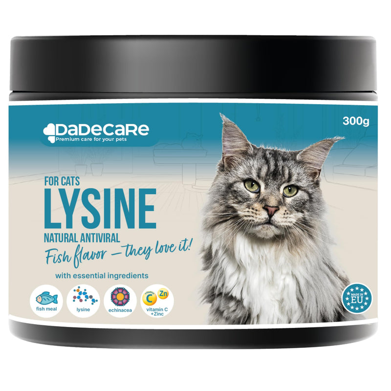 L-Lysine for Cats Powder 300g – Immune Support with Echinacea, Vitamin C & Zinc – Fish Flavour – Helps Respiratory Health & Cat Cold – Suitable for Kittens, Adult & Senior Cats
