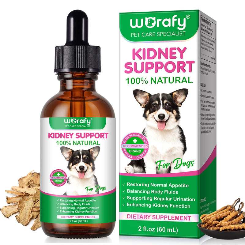 Bladder & Kidney Support for Dogs, 100% Natural Urinary Tract Treatment for Dogs 60ml, Supports Healthy Kidney Function and UTI Care Dog with Rehmannia, Immune System Booster Dog with Radix Astragali