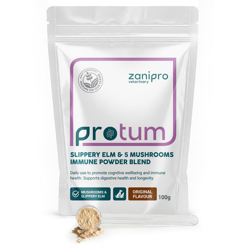 Turkey Tail Mushroom for Dogs - 100g Powder Supplement for Immune & Gut Health Support, Rich in Beta-Glucans, Adaptogenic Superblend with Slippery Elm for Dogs Digestion & Microbiome Balance