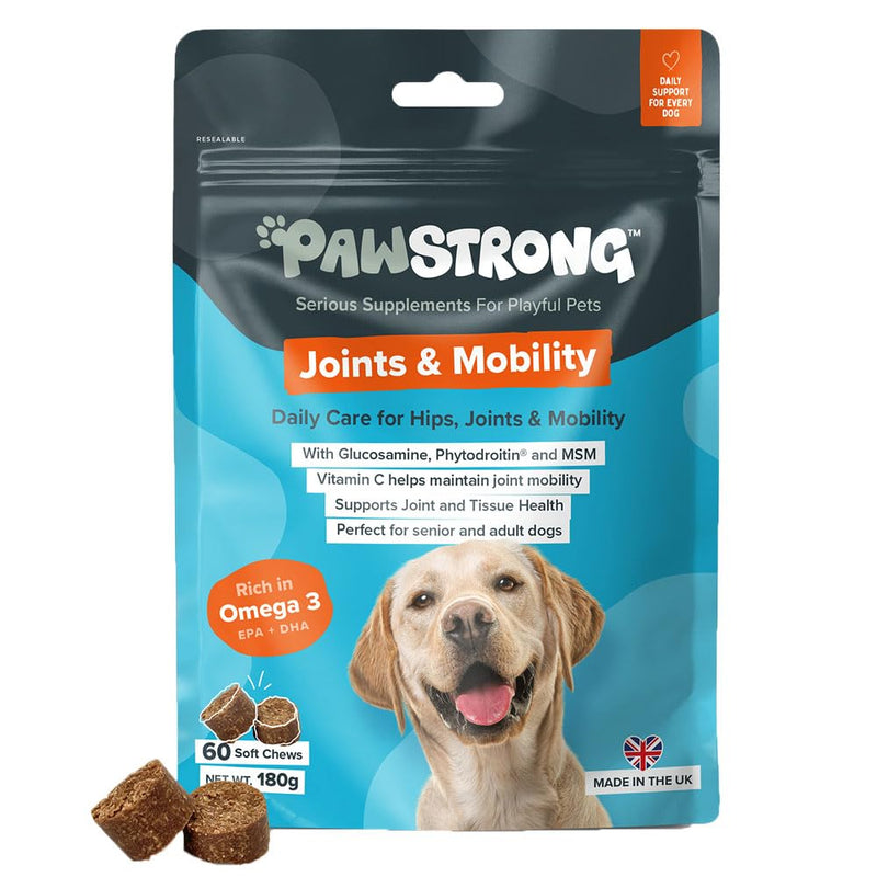 Joints & Mobility Soft Chew Dog Supplements - Daily Care for Hips, Joints and Mobility with Glucosamine, Phytodroitin, MSM, Vitamin C, Omega 3 EPA & DHA – 60 Soft Chews 60 Chews