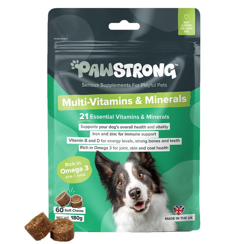 Multi-Vitamins & Minerals Soft Chew Dog Supplements – 21 Essential Nutrients for Daily Health, Energy, Joints, Skin & Coat with Omega 3 EPA & DHA – 60 Soft Chews 60 Chews