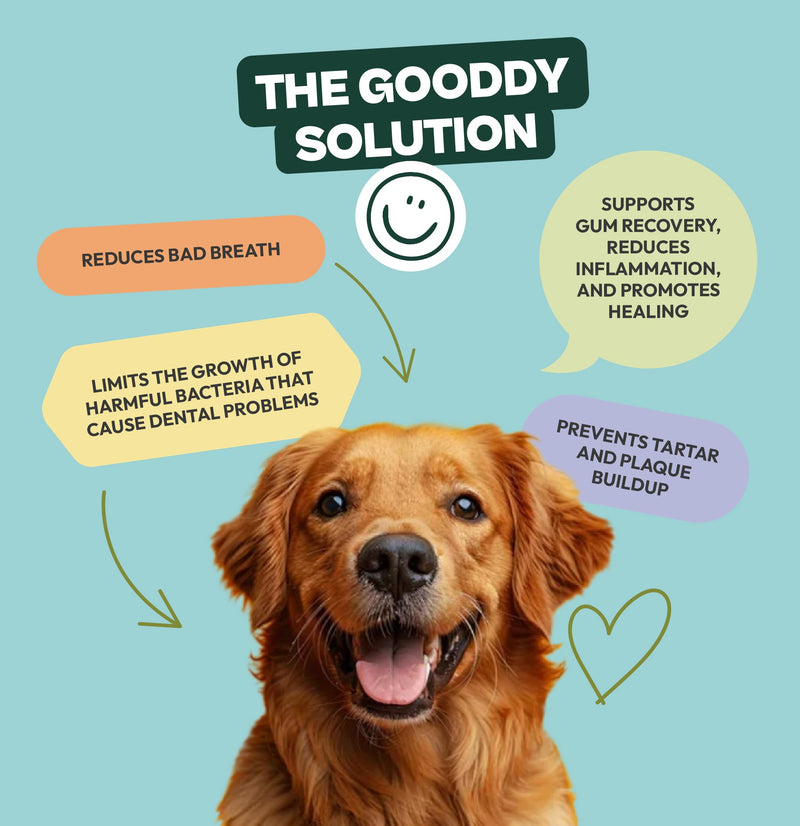 Gooddy - Dental Care for Dogs Powder 180g - Fresh Breath, Reduces Plaque and Tartar, Supports Gums - With Probiotics and Prebiotics