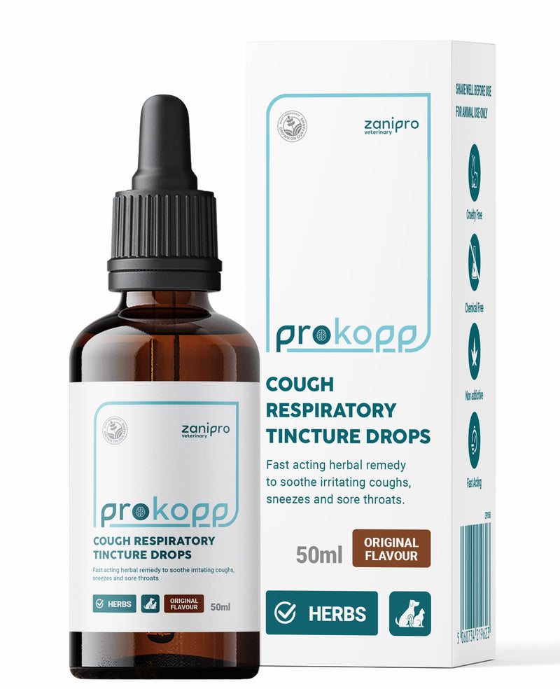 Kennel Cough Medicine for Dogs & Cats, Cat Cold Respiratory Infection Treatment, Sneezing, Cold & Nasal Decongestant Relief for Pets, Fully Natural Mullein Tincture - 50ml