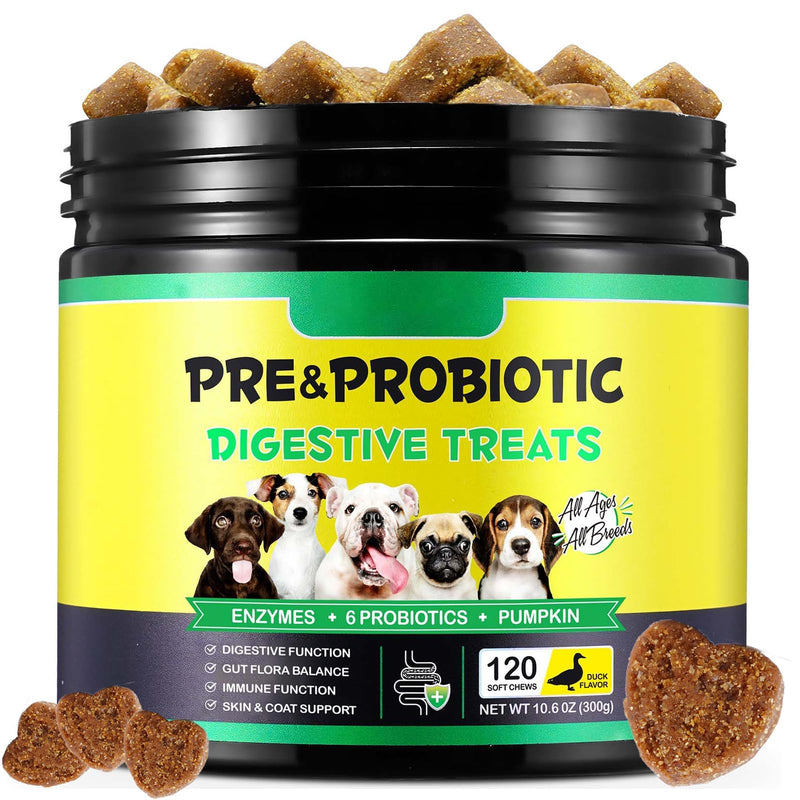 Probiotics for Dogs, Dog Probiotics Supplements (120 Chews) - Supports Gut & Digestive Health, Immune Function and Gut Flora Blance, Duck Flavor, For All Dogs 120 Count