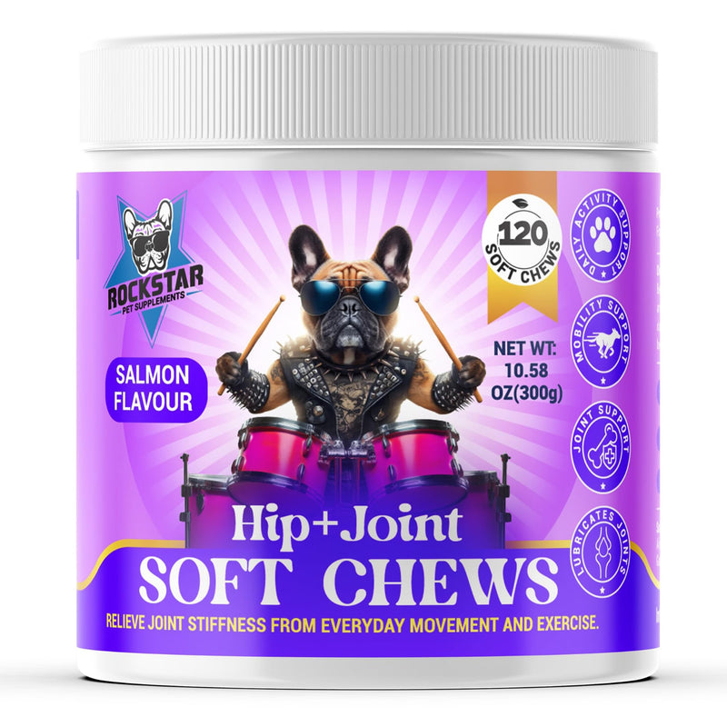 Hip+Joint Soft Chews for Dogs | Salmon Flavour | Daily Support with Chondroitin & MSM | Relieves Stiffness & Promotes Mobility-Perfect for Small, Medium & Large Dogs