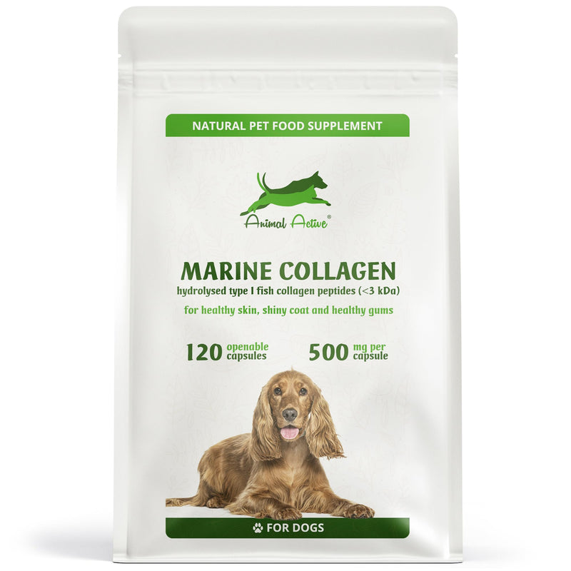 Marine Collagen for Dogs, Supports Dry and Itchy Skin, Shiny Coat & Healthy Gums, Premium Micronised Peptides, Skin Health Dog Supplement, 120 x 500mg Open & Sprinkle Capsules