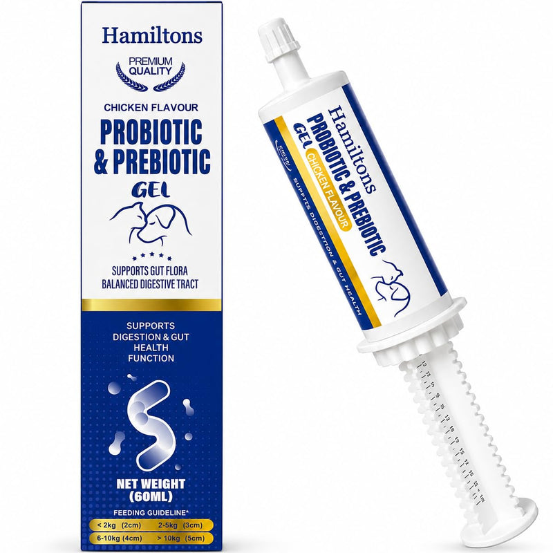 Hamiltons XL 60ml Probiotic & Prebiotic Paste for Dogs & Cats – Chicken Flavour Digestive Supplement – Supports Firm Stools, Digestive Upset & Gut Balance – Immune Support – Large Tube for All Breeds