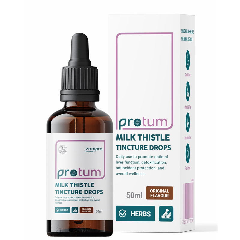 Milk Thistle for Dogs & Cats - Liver Supplements for Dogs, 100% Herbal Cat & Dog Supplements, Silymarin Antioxidant, Milk Thistle Liver Detox Tincture Drops Supports Immune System | 50ml
