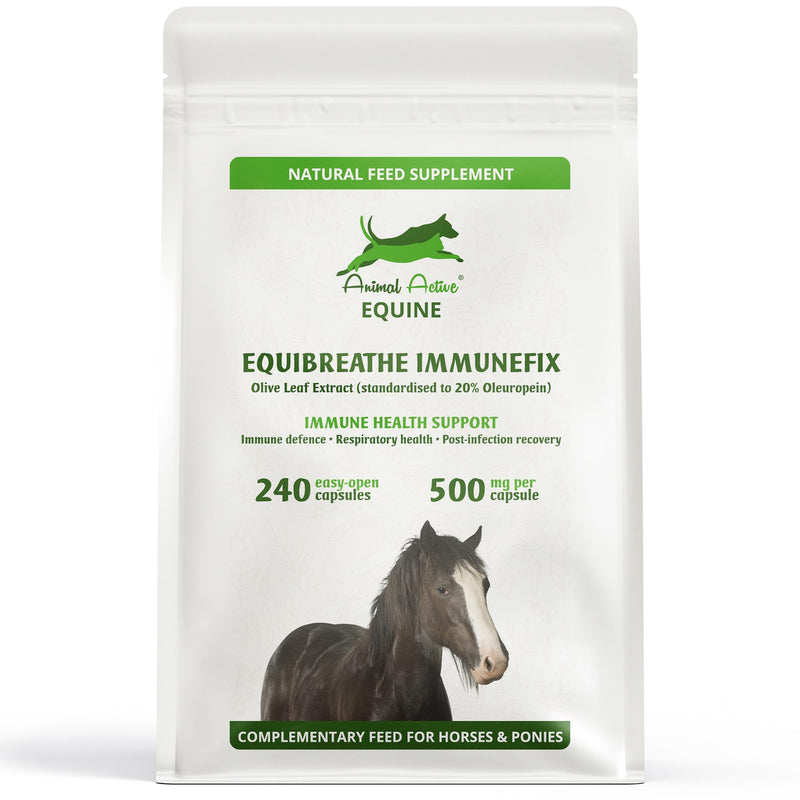 EquiBreathe Immunefix for Horses | 240 Easy-Open Capsules - 4 Months Supply | Immune Health & Respiratory Health Support, Post-Infection Recovery, Antioxidant for Horses | Made in the UK