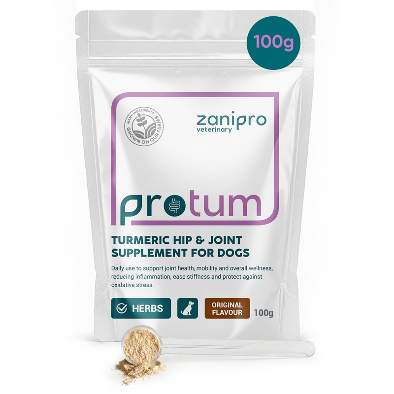 Turmeric Powder for Dogs 100g – Natural Hip and Joint Supplement for Dogs with Ginger & Black Pepper, Daily Mobility, Joint Health & Inflammation Support