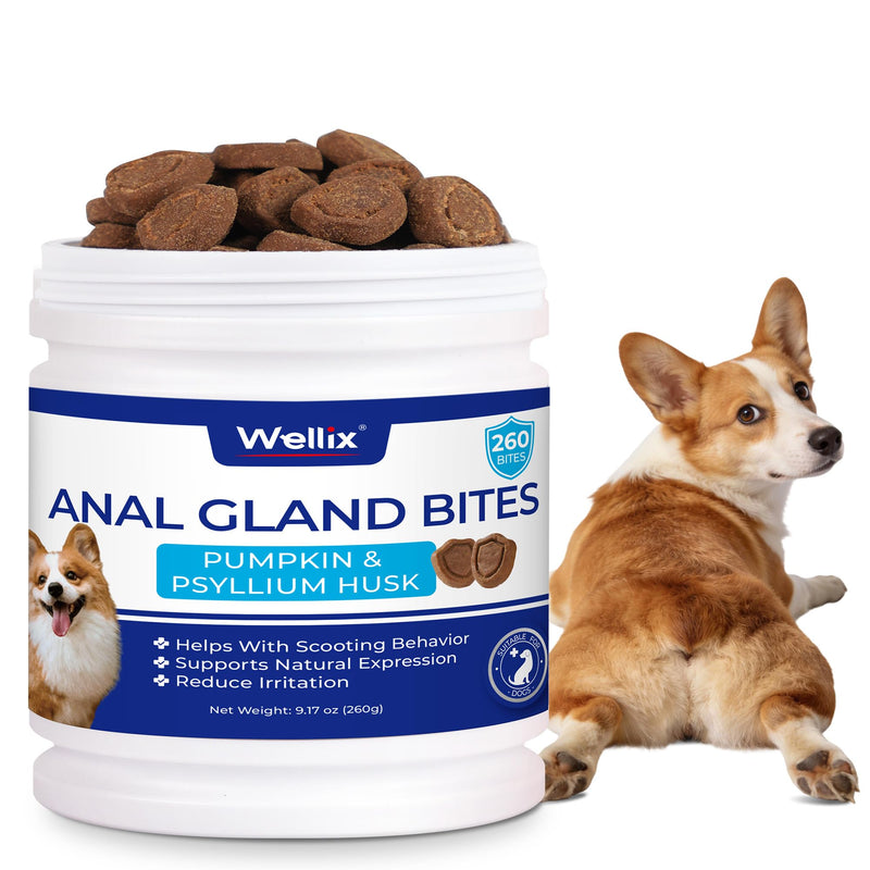 Wellix 260g Anal Gland Chews for Dogs - Rich in Pumpkin Fibre for Dogs & Probiotics - Dog Fibre Supplement for Anal Gland Health,Stool Quality & Digestive Health - Chicken Flavor