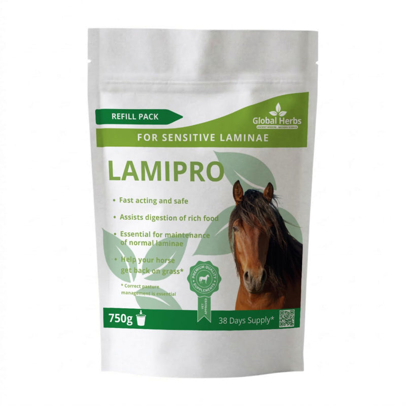 Global Herbs LamiPro for Horses 750g Refill Pouch Laminitis-Prone & Metabolic Support Herbal Supplement