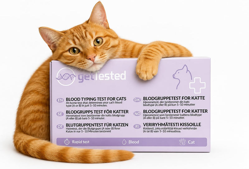 getTested Cat Blood Typing Test – Rapid Test for Feline Types A, B & AB – At-Home Kit with Results in 5–10 Minutes – Simple & Easy to Use