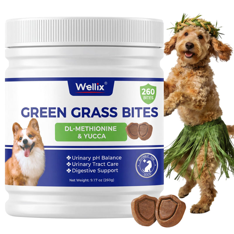 260 Bites Green Grass Bites for Dogs - Grass Savers for Dog Urine, Green Lawn Chews with Crabberry & Probiotic & Digestive Enzymes for Urinary Tract & Bladder - Chicken Flavor