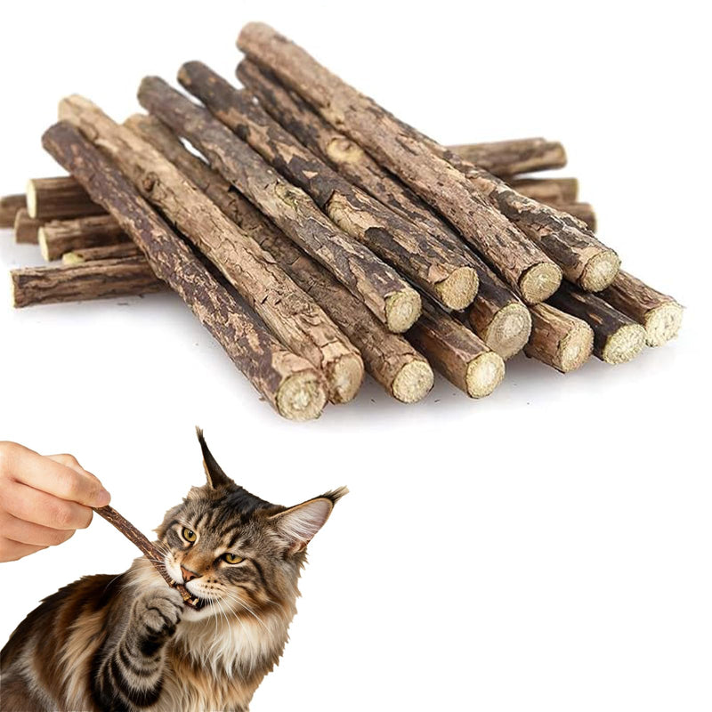25 Pack Silvervine Chew Sticks for Cats, Natural Matatabi Silvervine 7-10mm Dental Chews for Teeth Cleaning, Indoor Cat Toys Dental Care, Organic Kittens Adult Cat Treats