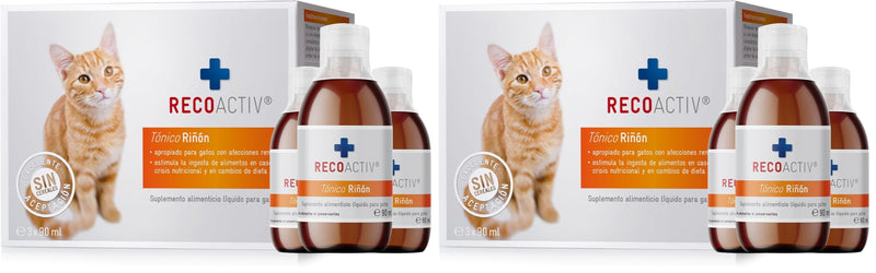 RECOACTIV Kidney Tonic for cats, 3 x 90 ml, dietary food supplement for recovery from early signs of renal dysfunction in cats, and for prevention (Pack of 2) 3 x 90 ml (Pack of 2)