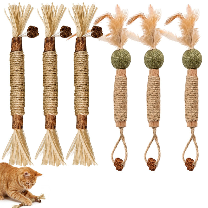 XZSKD 6pcs Silvervine Chew Sticks for Cats, Cat Dental Treats with Natural Silver Vine, Dental Care Solution for Indoor Cats, Six Chew Sticks for Teething Kittens and Adult Cats