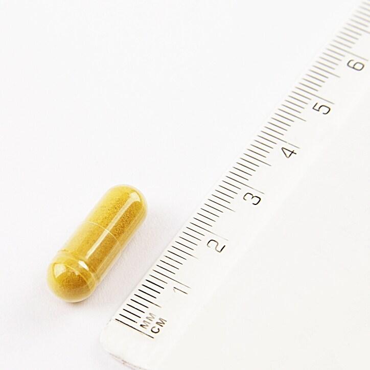 Nature's Garden Turmeric 400mg containing Curcumin 100 Capsules - BeesActive Australia