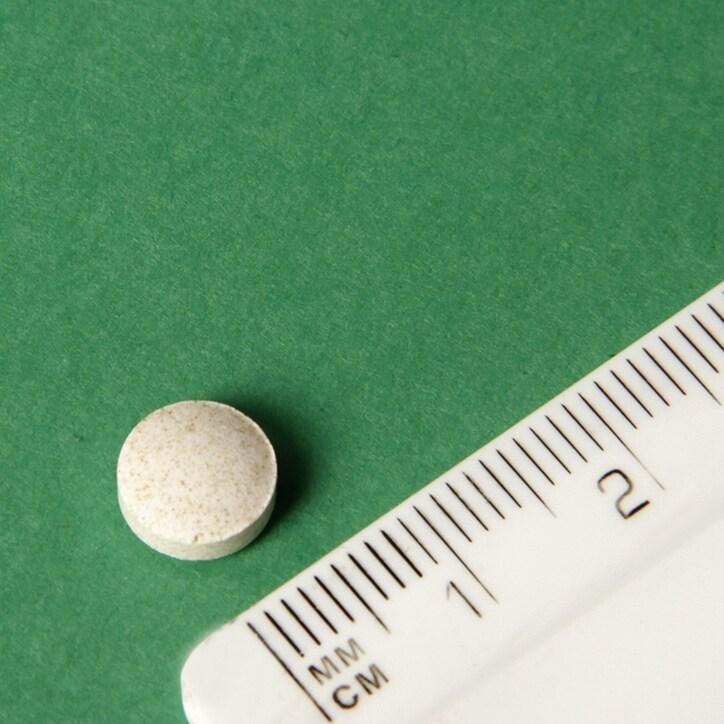 Natures Garden Sea Kelp Tablets 15mg 250 Tablets - BeesActive Australia