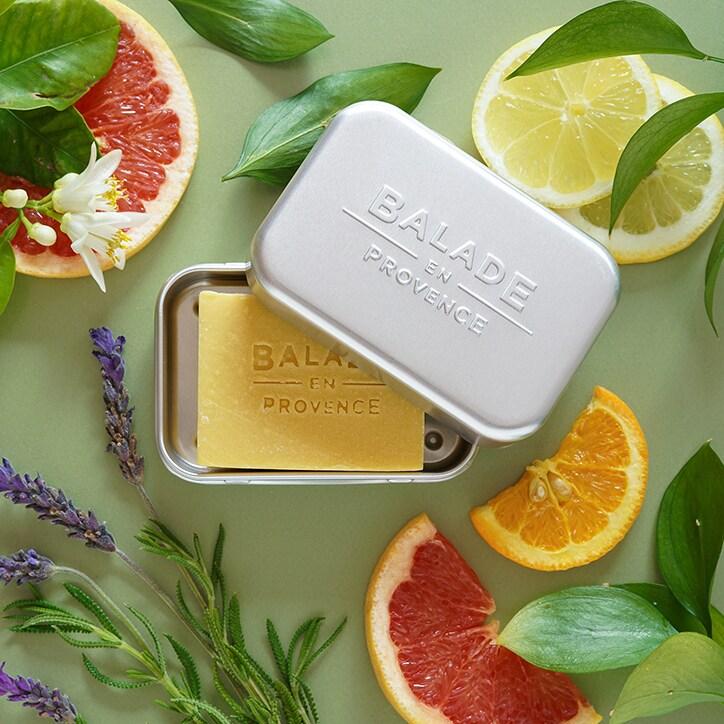 Balade en Provence Aluminium Travel Case - BeesActive Australia