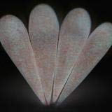 Kiara Sky Dip Powder. MR. BRIGHT Long-Lasting and Lightweight Nail Dipping Powder. (1 Ounce) - BeesActive Australia
