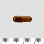 Maruman Bees Baby Kaion Gold 322mg X 90 Grain - BeesActive Australia