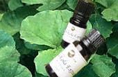 [Cosmetics Ingredients Plant Extract] fresh Support gotukoraekisu - BeesActive Australia