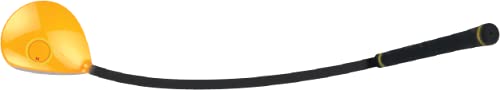 Ripcoil RP6 -Golf Swing Training Aid and Distance Trainer, Whippy Shaft and Driver Head, Hit Balls with This Aid, Increase Swing Speed and Distance Fast LEFT HAND - BeesActive Australia