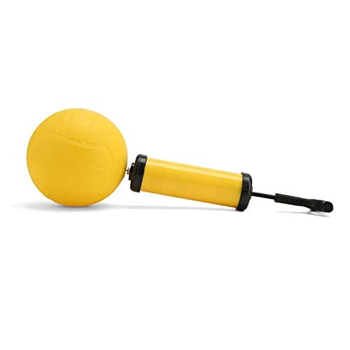 Feishibang roundnet Game Balls Replacement Including 6" Training Ball and 3.6" Competition Balls with Pump - BeesActive Australia