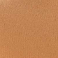 Face Base Oil-Free Powder Foundation with Mineral Pigments by VASANTI - Loose Finishing Powder - Paraben-Free, Never Tested on Animals - Get Glowing Skin Now! (V1 - Fair to Light) V1 - Fair to Light - BeesActive Australia