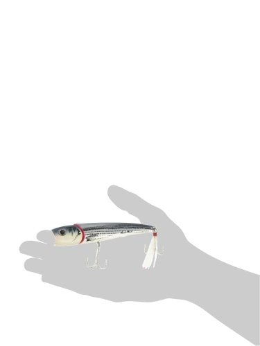 [AUSTRALIA] - Creek Chub Knuckle Head Jointed Topwater Fishing Lure with Chugging and Popping Action Knuckle Head - 5" Baby Striper 