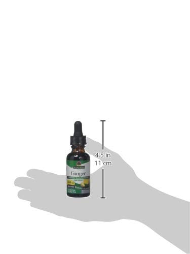 Nature's Answer - Ginger Root - 30ml - Natural Herbal Extract - Supports Digestive Health - for Soothing Upset Stomach & Nausea - BeesActive Australia